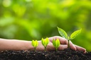 [LEA125] Renforcer son leadership entre pairs