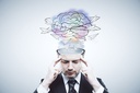 Niveau 1 - Introduction aux neurosciences - NAMUR