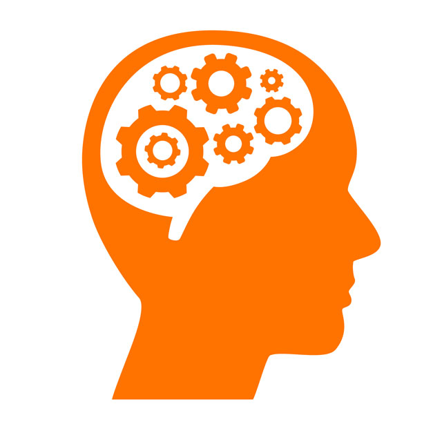 [BSNB121] Brain-Switch Niveau 2 : Accompagner à l’aide des neuro-sciences – Niveau Expert Brain-switch