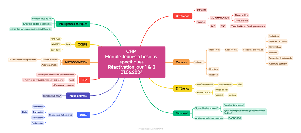 CFIP Module Jeunes à besoins spécifiquesRéactivation jour 1 & 201.06.2024
