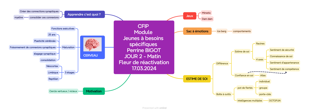 CFIP Module Jeunes à besoins spécifiques Perrine BIGOTJOUR 2 - Matin  Fleur de réactivation17.03.2024